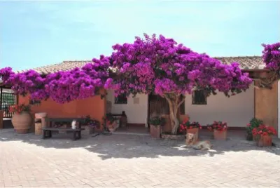 Bouganville jigsaw puzzle