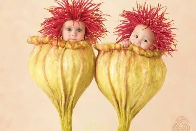 boccioli