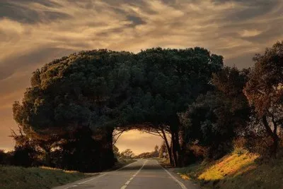 NÂº 148 jigsaw puzzle