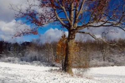 winter in pennsylvania