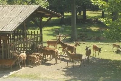 REHE