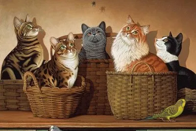 Gatos jigsaw puzzle