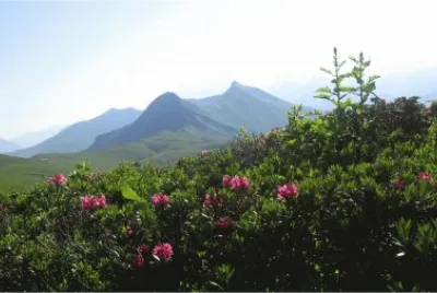Mont Clocher jigsaw puzzle