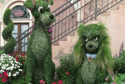 curiositÃ 