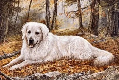 Pintura