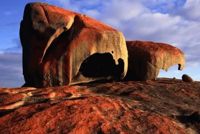 Ilha do Canguru - Australia
