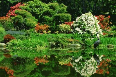natureza