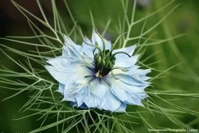 natureza
