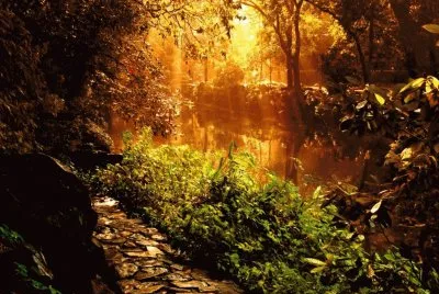 natureza