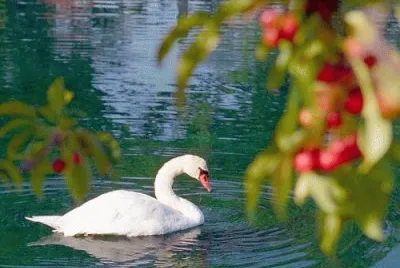 natureza