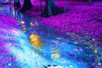 natureza