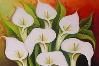 Tulipanes blancos