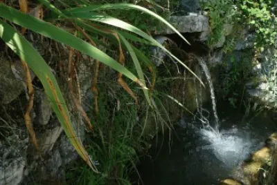 פאזל של fontaine
