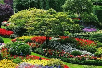 Jardim 2