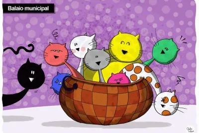 GATINHOS