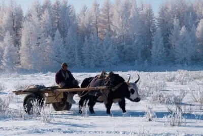 Inverno na Mongólia