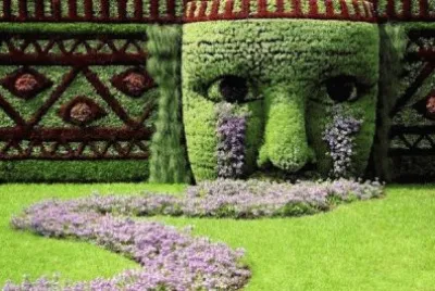 19 jigsaw puzzle