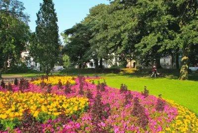 Caminho Lilas de flores jigsaw puzzle