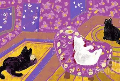 Gatos