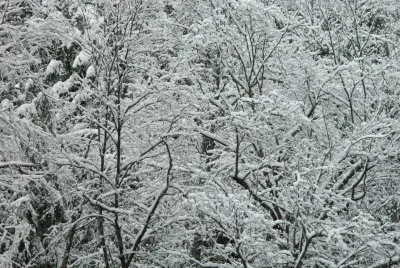 A combination  of frozen vegetation jigsaw puzzle