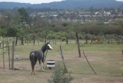 caballito de los Perales