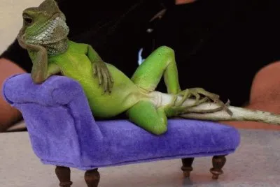 Relax