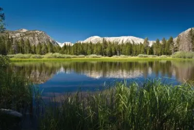 sol del desierto