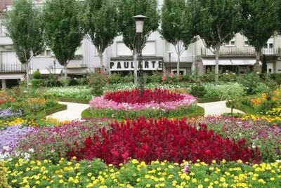 Jardim