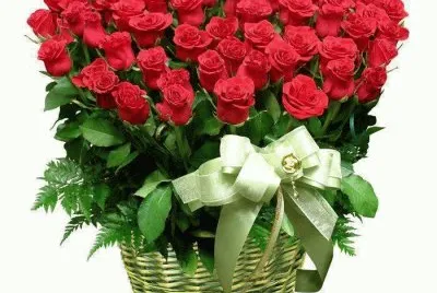 flores