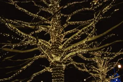 Lights