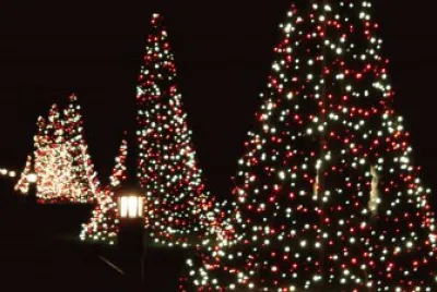 lights