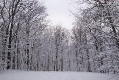 snow