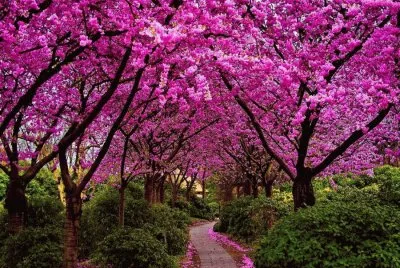 Caminho da Reflexão