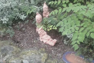 im garten