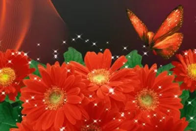 Gerberas e borboleta