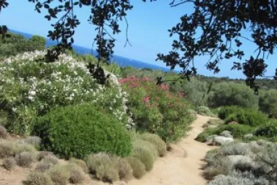 Paysage jigsaw puzzle