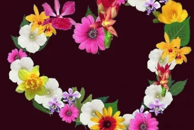 FLORIDO