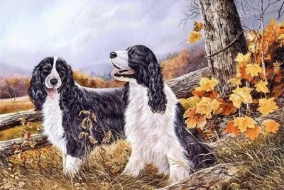 Pintura