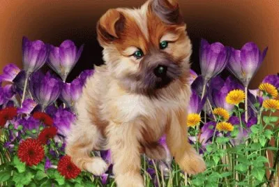 image jigsaw puzzle