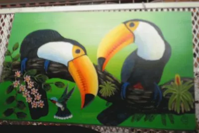 guacamayas