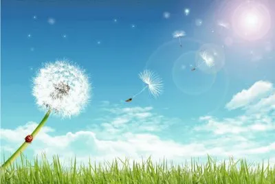 viento jigsaw puzzle