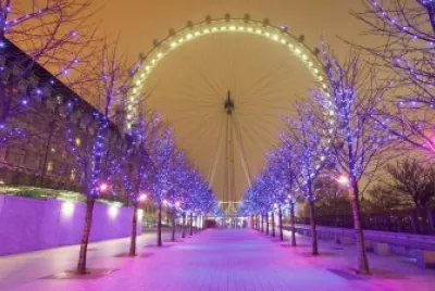 Purple Purple Christmas Walkway-London