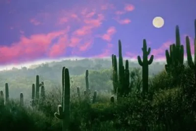 arizona