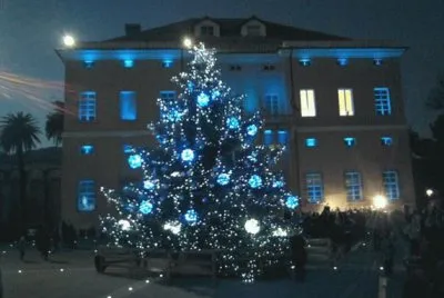 albero