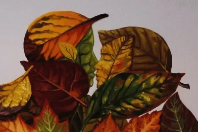 פאזל של  "Para LÃ¡ da SolidÃ£o "