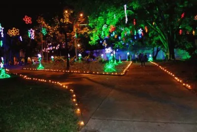 LUCES DE NAVIDAD