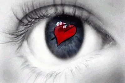 Auge