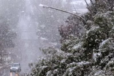 winter 7