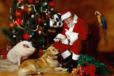Pare NoÃ«l