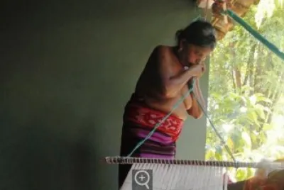 culturas